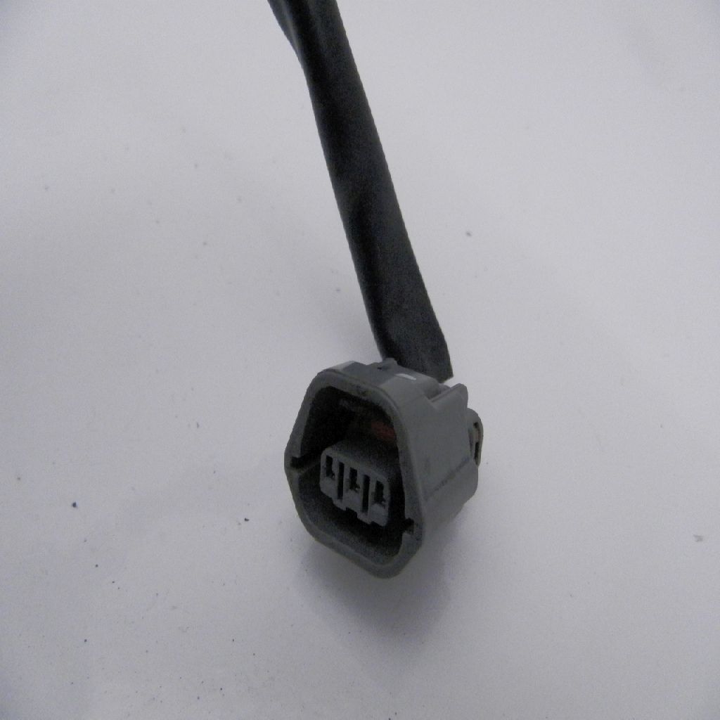 B2