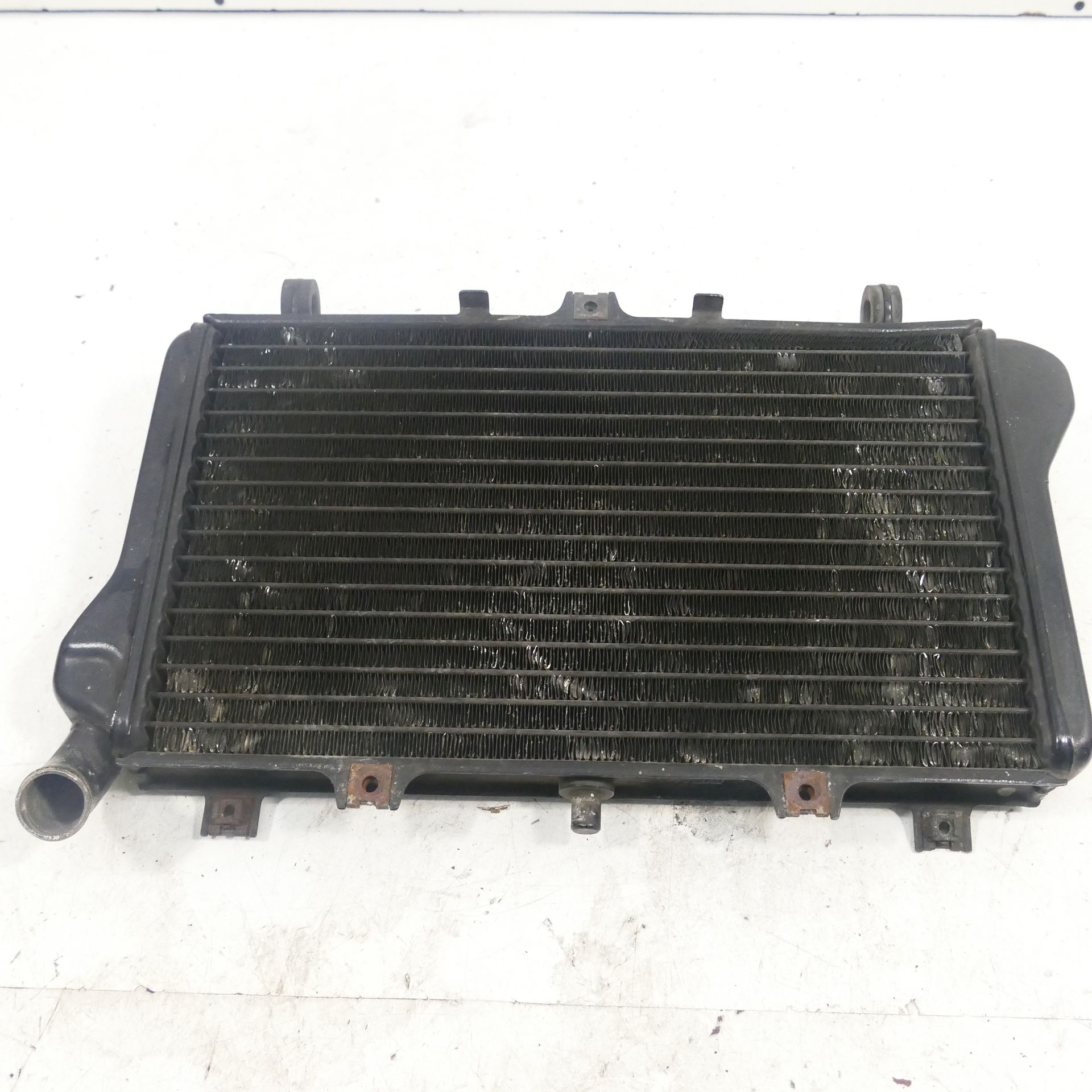 バイイー専用 Kawasaki ZX-10 1000 B Year: 88 Radiator Fan Water Cooler