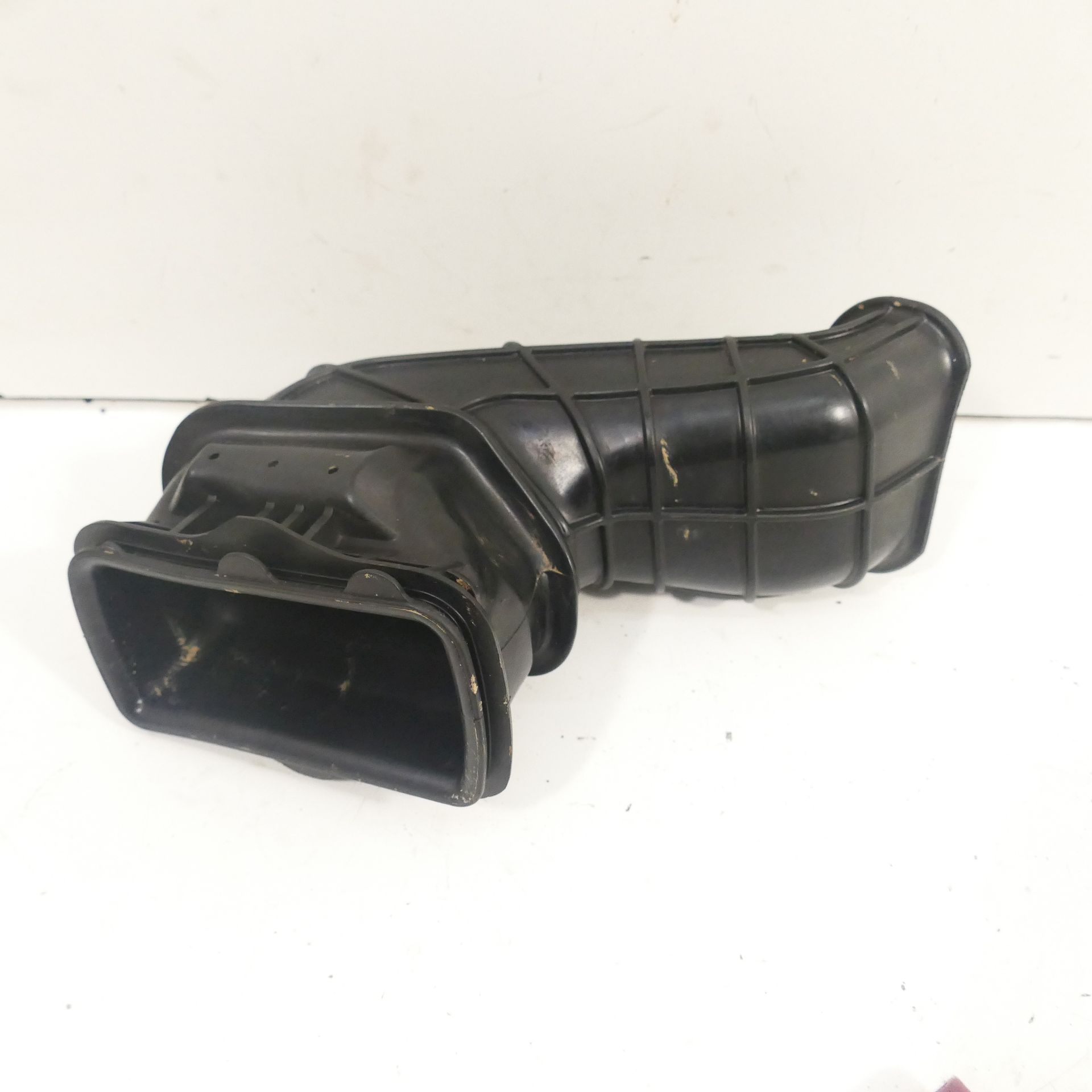 がぞう m63828028594_1.jpg